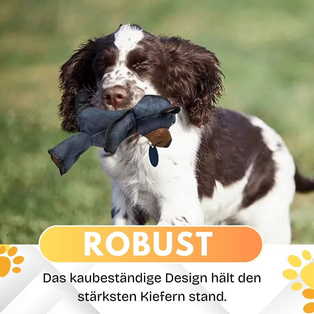 🐻2025 Neuer Unbreaka-Bär für Vielkauer🐕‍🦺